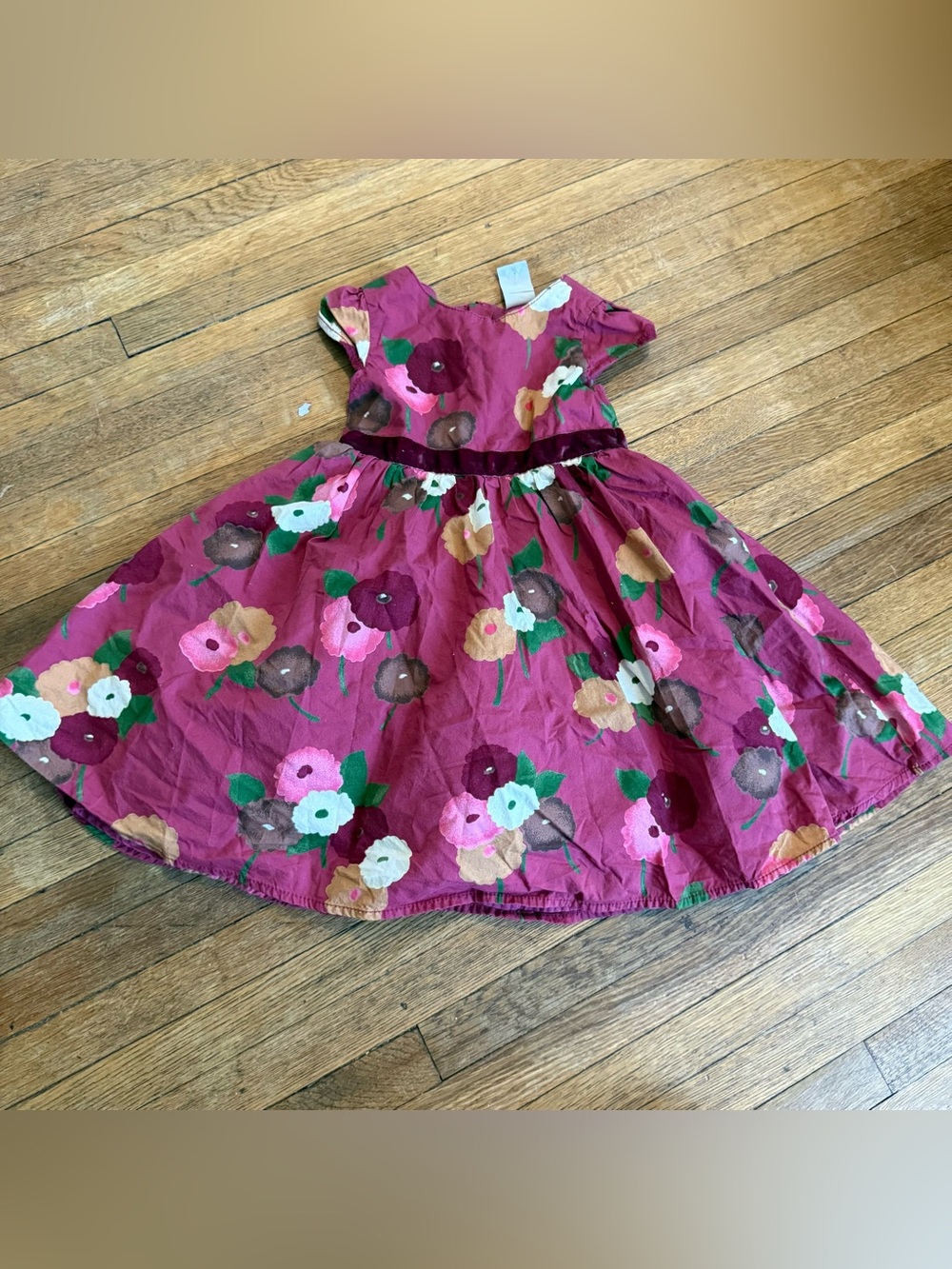 Baby Gap Vintage Baby Girl Floral Dress - Size 18-24 Months